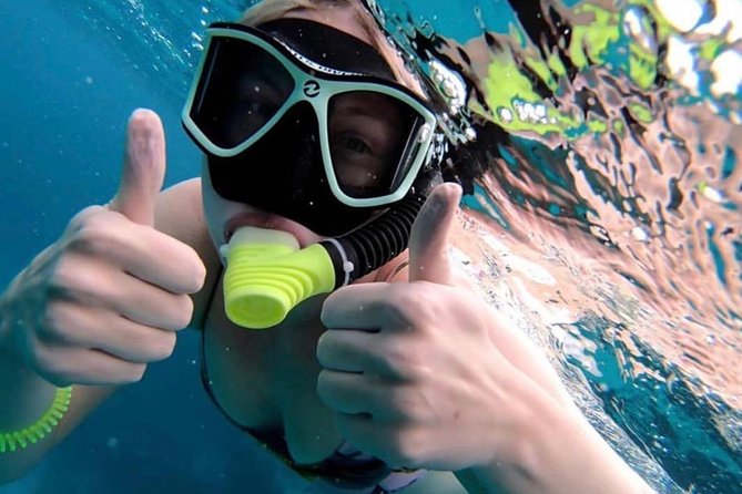 Hol Chan Full-Day Bucket List Snorkeling and Marine Life Tour - Tour Overview and Highlights