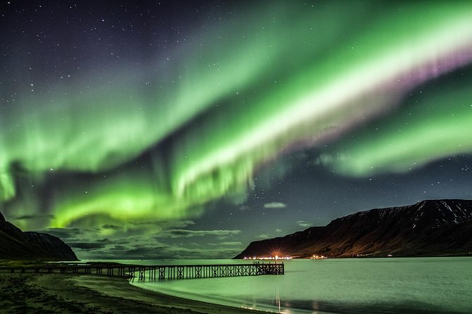 #1 Northern Lights Tour in Iceland From Reykjavik With PRO Photos - Unique Tour Experiences