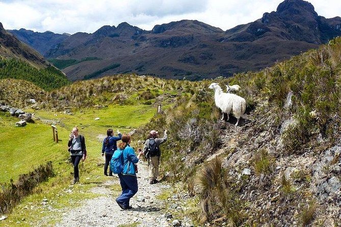 Amazing Cajas National Park Tour From Cuenca - Tour Experience