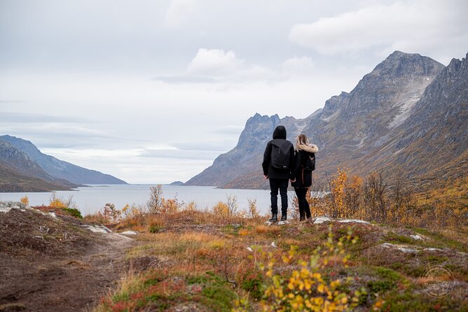 Arctic Roadtrip: Fjords With Scenic Picnic | Sightseeing - Inclusions and Amenities