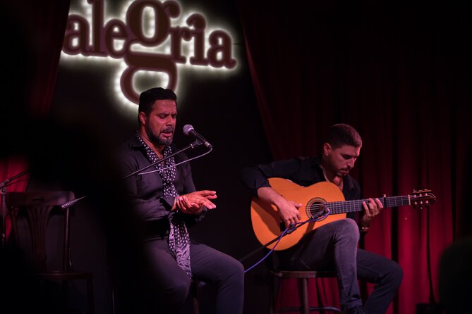 Authentic Flamenco Show. Joy and Gastronomy in Malaga - Venue and Accessibility