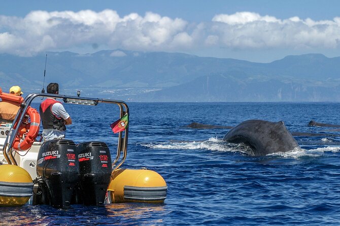 Azores Whale Watching & Islet Boat Tour - Tour Details and Inclusions