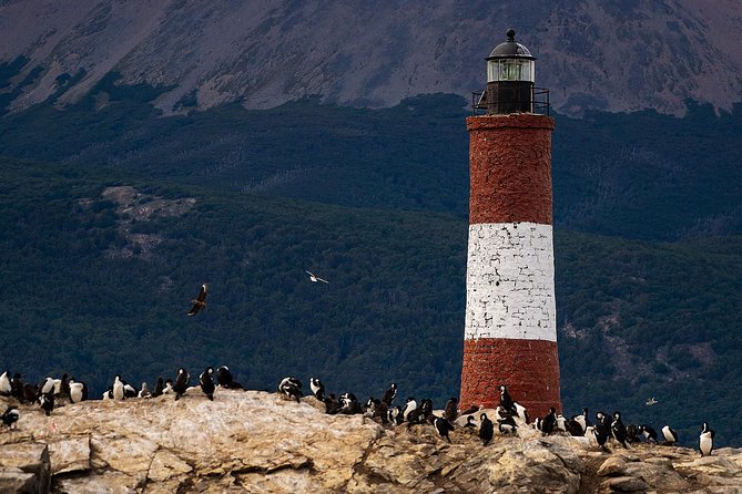 Beagle Channel Navigation With Minitrekking - Cruise Experience