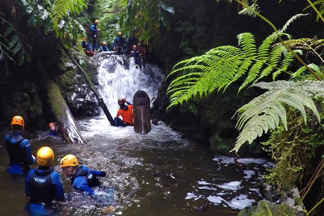 Canyoning Experience at Ribeira Grande - Equipment and Gear