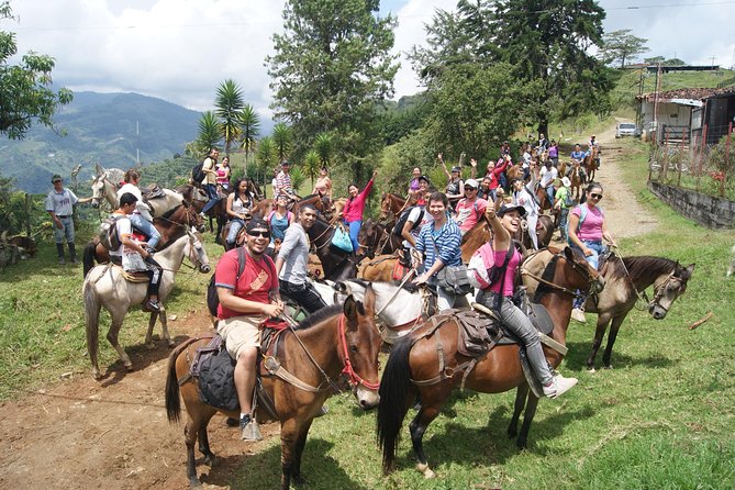 Coffee Tour In Horse Riding and Lunch In Medellin - Experience Highlights