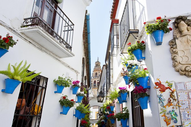 Cordoba: Mosque,Cathedral, Alcazar & Synagogue With Tickets - Synagogue: a Glimpse Into Córdobas Jewish Heritage