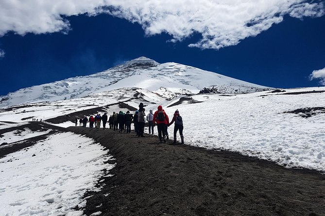 Cotopaxi Full-Day From Quito Including Entrances - Highlights of the Cotopaxi Excursion