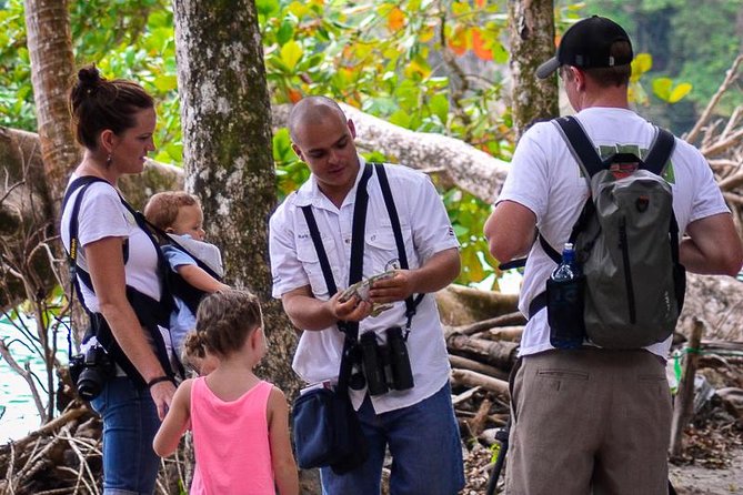 Deluxe Private Manuel Antonio Park Tour - Observing Wildlife Species