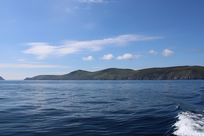 Dingle Dolphin Blasket Adventures - Tour Details and Pricing