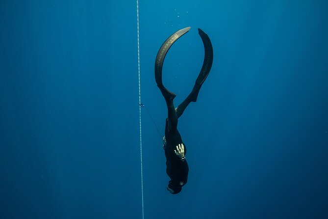 Discover Freediving Course - Whats Included