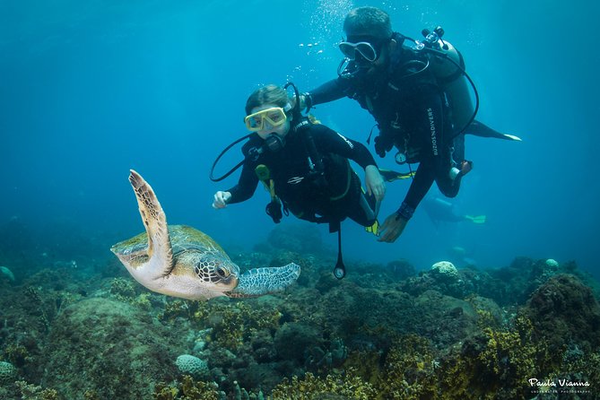 Diving for Beginners and Accredited - Búzios RJ - Meeting and Departure Details