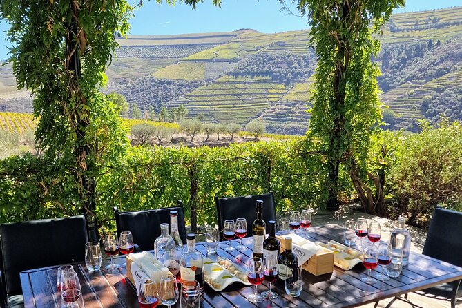 Douro Valley-Expert Guide-Boat-Lunch-Tastings Premium Service - Itinerary and Schedule