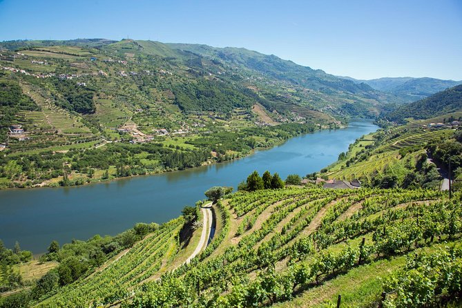 Douro Valley: Real Small-Group Tour, Wine Tasting, Lunch & Boat - Breathtaking Scenery and Memorable Visits