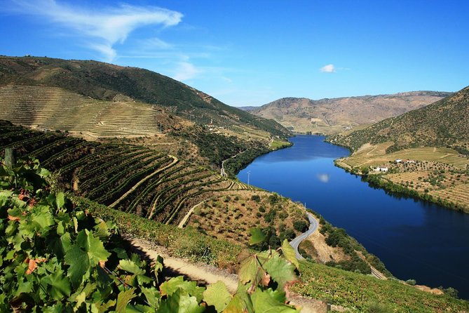 Douro Valley Wine Tour: 3 Vineyard Visits, Wine Tastings, Lunch - Wine Tasting Experiences