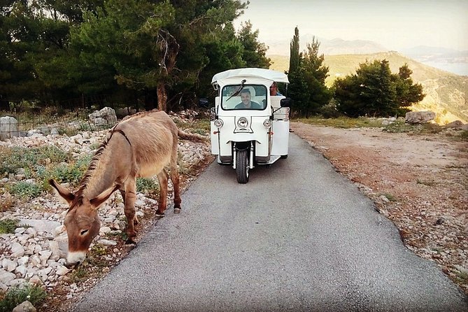 E-Tuk Tuk Tour in Dubrovnik - Itinerary and Experience