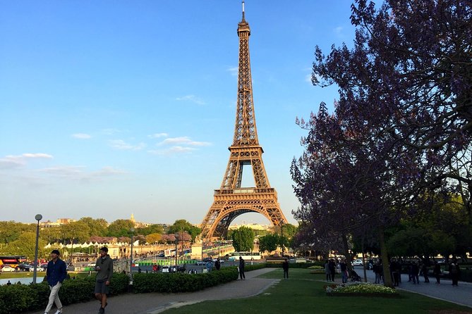 Eiffel Tower Elevator Tour With Optional Summit & Cruise Access - Traveler Feedback