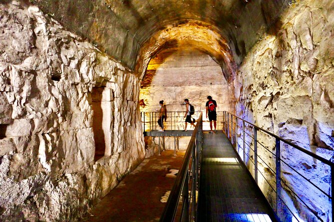 Expert Guided Tour of Colosseum Arena OR Underground, and Forum - Tour Overview