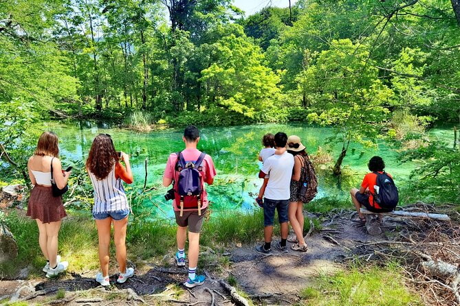 From Split: Plitvice Lakes National Park Guided Tour - Tour Overview