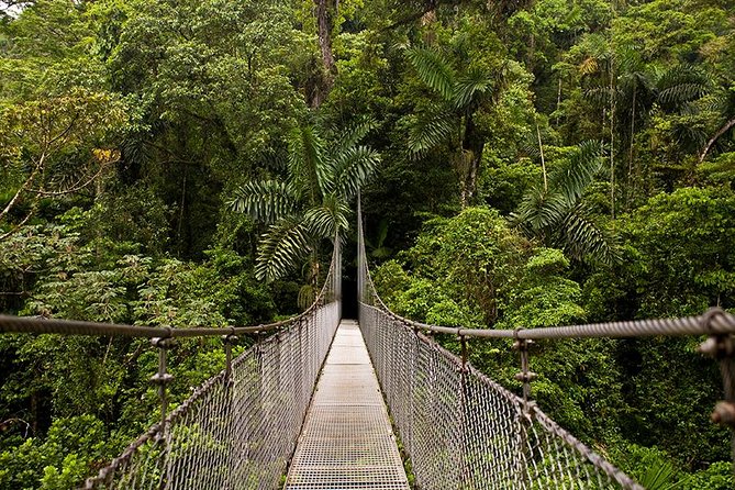 Full Day Tour With Hanging Bridges, Waterfall and Volcano Hike - Hanging Bridges Hike