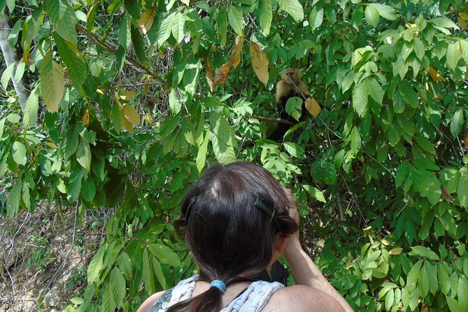 Gatun Lake Wildlife Tour From Panama City - Boat Ride and Wildlife Sightings