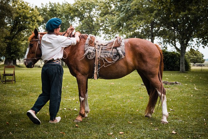 Gaucho Day Tour Ranch at an Estancia From Buenos Aires - Tour Overview and Highlights