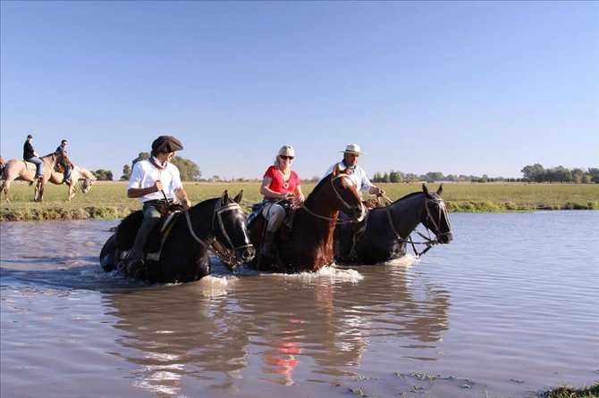 Gaucho Small-Group Full Day at a Farm in Buenos Aires - Guest Feedback