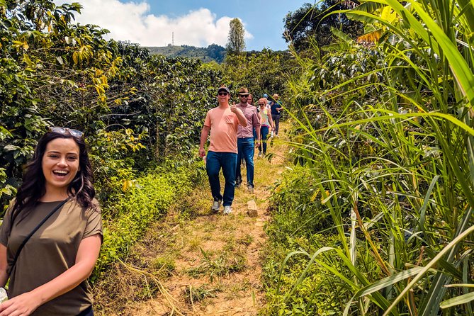 Half-Day Coffee Tour in Medellín: From the Seed to the Cup - Exploring the Coffee Farm