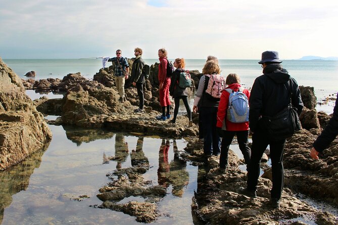 Howth Peninsula Hiking Tour Overlooking Dublin Bay - What to Expect