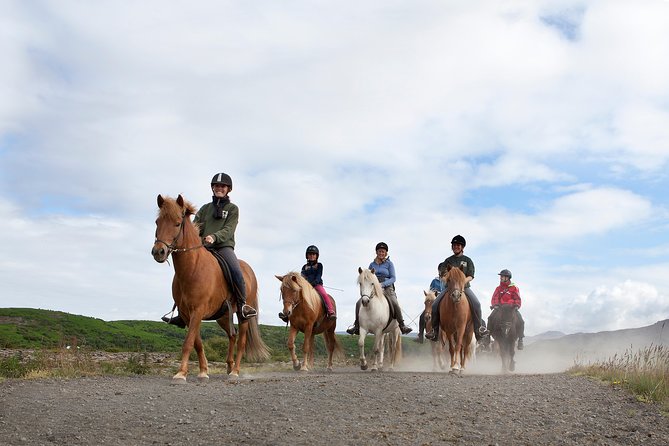 Icelandic Horseback Riding Tour From Reykjavik - Riding Experience