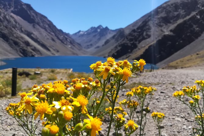 Inca Lagoon in Andes Mountain Range - Visit Local Vineyard With Tasting Included - Inclusions and Exclusions