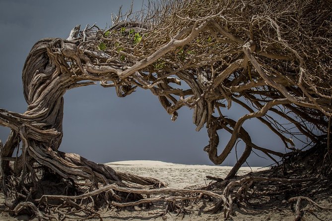 Jericoacoara East Coast Tour - Inclusions