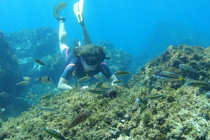 Kayak & Snorkel Tour in Cerro Gordo Natural Park, La Herradura - Traveler Experiences and Feedback