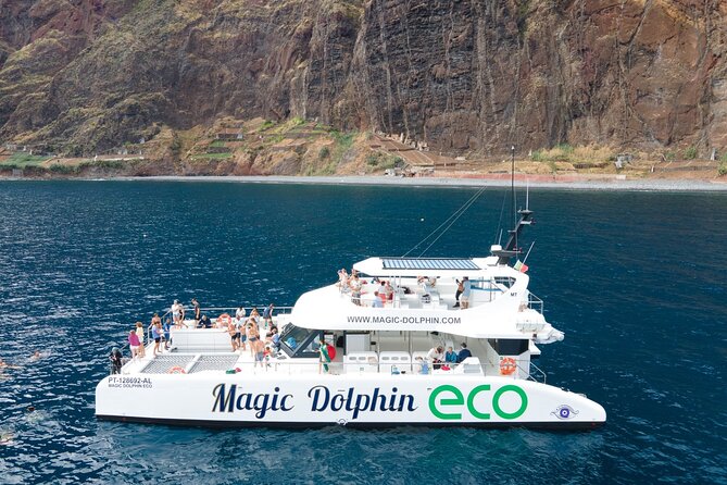 Madeira Dolphin and Whale Watching on a Ecological Catamaran - Inclusions and Logistics