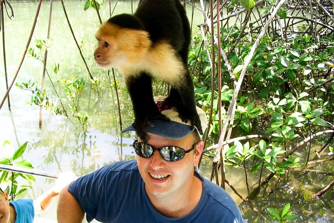 Mangrove Boat Tour Damas Island | Manuel Antonio - Inclusions