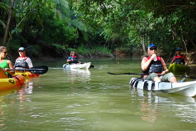 Mangrove Kayak Tour | Manuel Antonio - Meeting and Pickup