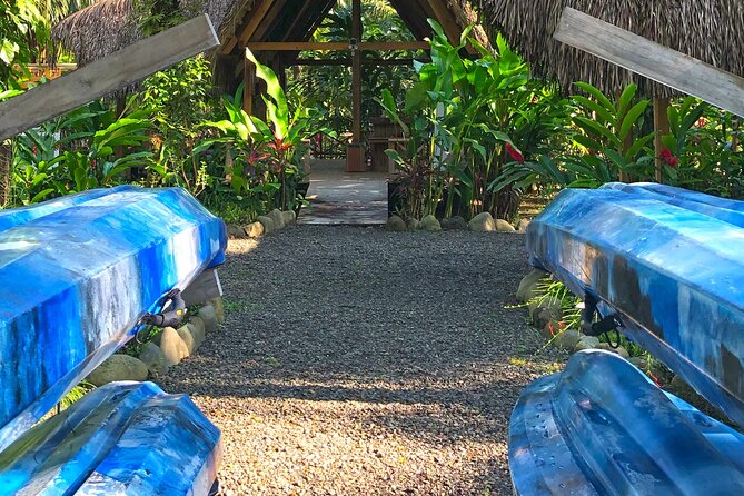 Mangrove Kayak - Guided Tour Experience