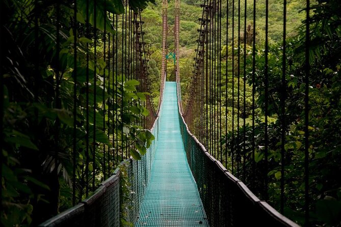 Mistico Park Hanging Bridges Guided Tour - Encounter the Diverse Wildlife