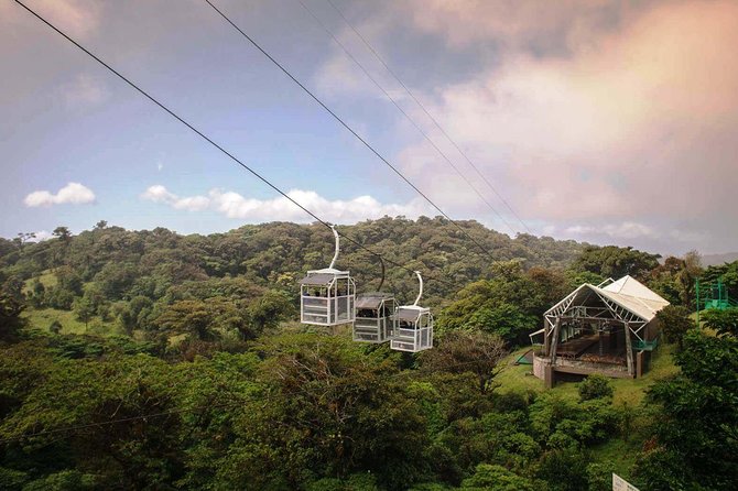 Monteverde Sky Tram & Hanging Bridges Cloud Forest Tour From San Jose - The Journey to Monteverde