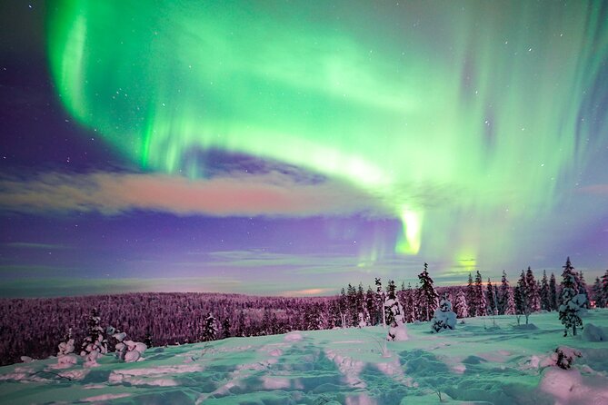 Northern Lights Wilderness Small-Group Tour From Rovaniemi - Inclusions and Meeting Details