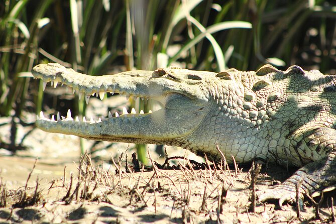 Palo Verde Boat Tours, Ortega - Tour Details and Inclusions