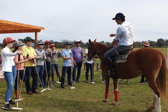 Polo Lessons From Buenos Aires by Polo Elite - Exploring the Argentine Countryside