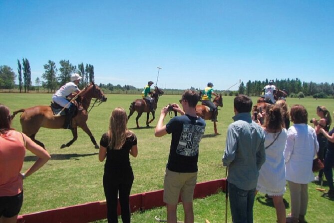 Polo Match, BBQ and Lesson Day-Trip From Buenos Aires - Highlights of the Itinerary