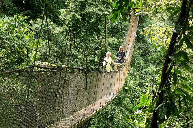 Rainmaker Park Hanging Bridges & Waterfalls Tour With Jade Tours - Customer Feedback