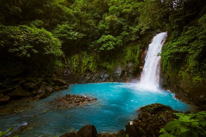 Rio Celeste Full-Day Tour From La Fortuna - Whats Included