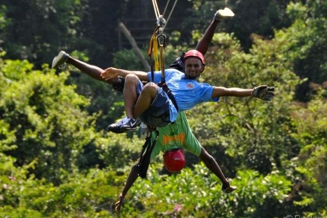 Roatan Shore Excursion: Zip N Dip Canopy Tour - Overview of the Roatan Zip N Dip Canopy Tour