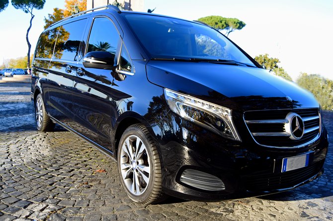 Rome Private Arrival Transfer: Fiumicino Airport to Hotel - Whats Included