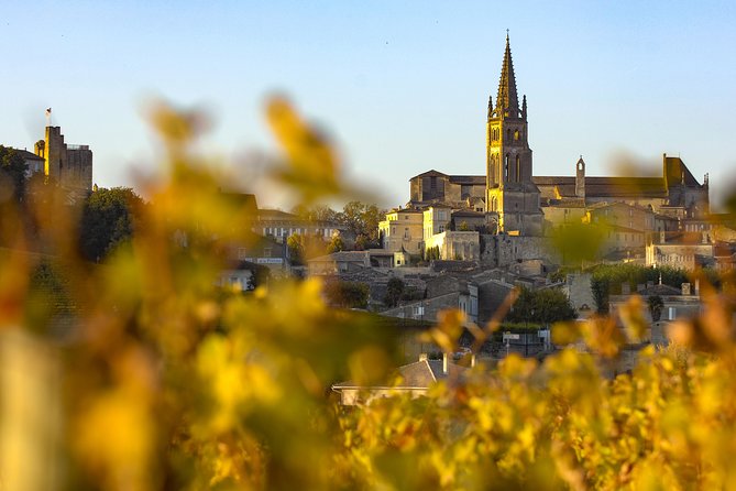 Saint Emilion Half-Day Trip With Wine Tasting & Winery Visit From Bordeaux - Inclusions and Exclusions