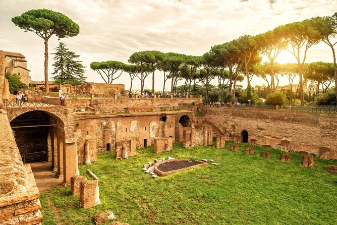 Small-Group Colosseum Tour With Roman Forum & Palatine Hill - Tour Experience