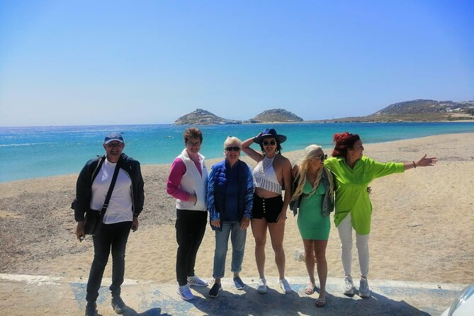 Small-Group Half-Day Tour in Mykonos - Customer Experience and Reviews