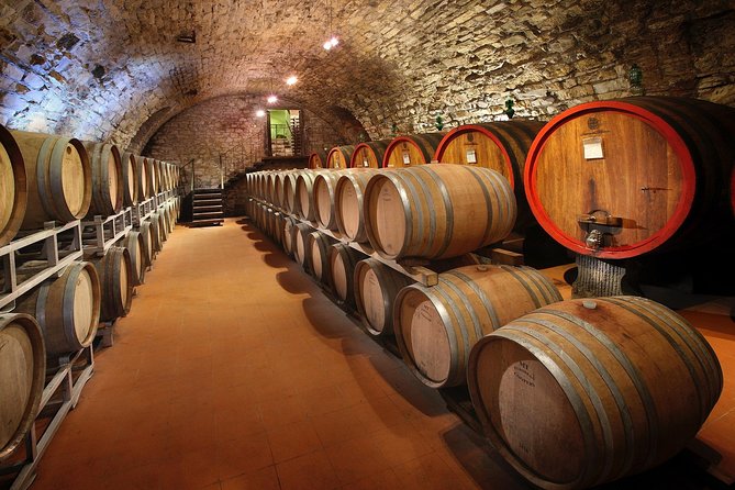 Small-Group Wine Tasting Experience in the Tuscan Countryside - Itinerary and Activities